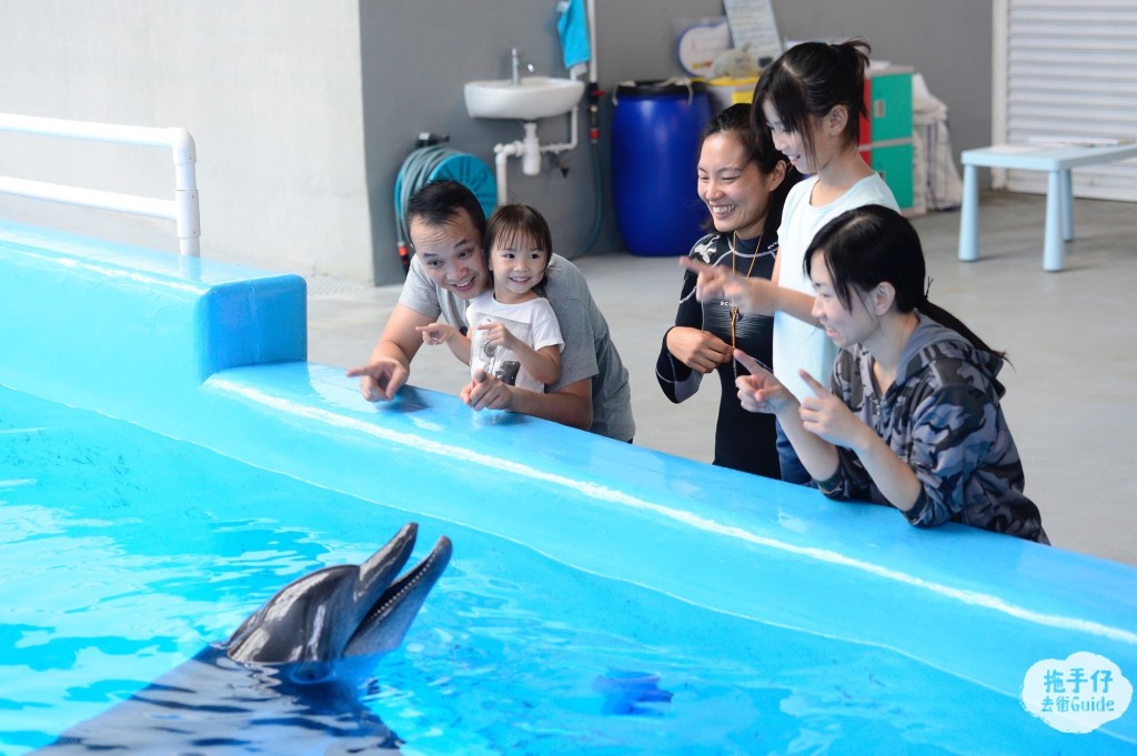 Ocean Park_Meet the Dolphin (1)