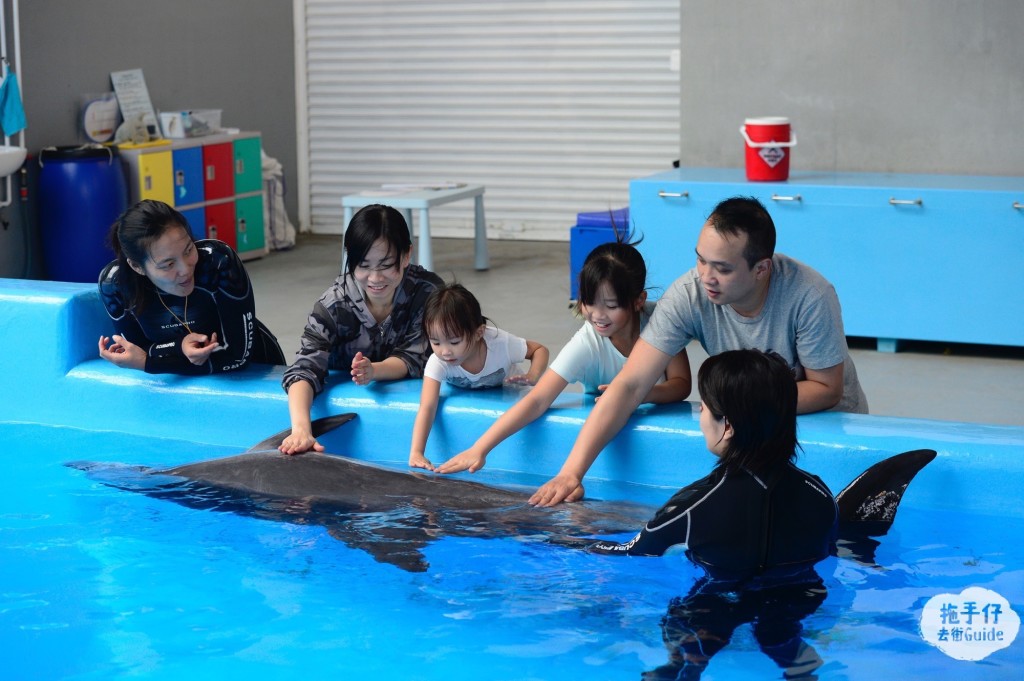Ocean Park_Meet the Dolphin (2)